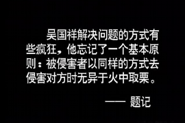 林州为什么选择专业追讨公司来处理您的债务纠纷？